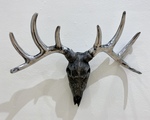 Deer Skull - 2023 by Bella Dinga