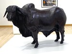 Bull - 2023 by Luke Sides