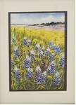 Bluebonnet Field - 2022 by Luther Williams