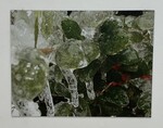 FORCES - 12
