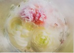 White Ranunculus with Peony – 2023 by Anna Fritzel
