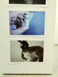 Mateo Koch- My Body, My Home- Archival Pigment Print- Prof Elizabeth Mellott