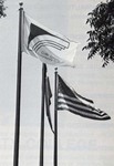 1989-90 cat flags