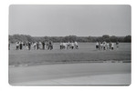 88 (3)_0018