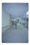 Loose Negative Env_0087