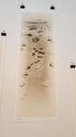 Guy R. Giersch- Bisti #30 Marching Rocks. Archival Ink Jet Print 16" x 48"