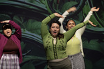 Little Shop of Horrors - 01