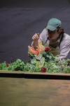 Little Shop of Horrors - 23