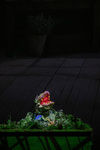 Little Shop of Horrors - 25