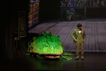 Little Shop of Horrors - 89