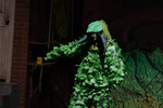 Little Shop of Horrors - 133