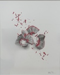 Discarded by Rebecca J. Jones