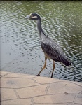 Heron by Rainer Bantau