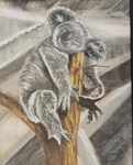 Koala-Ty-Time by Pamela Williamson