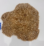 Teefs by Natalie Taylor