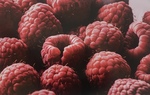 Raspberries, 2022 by Mallorie Brown