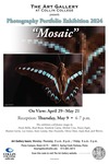 Mosaic Exhibit Flyer