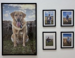 Best Friends in Focus by Brenden Murphy